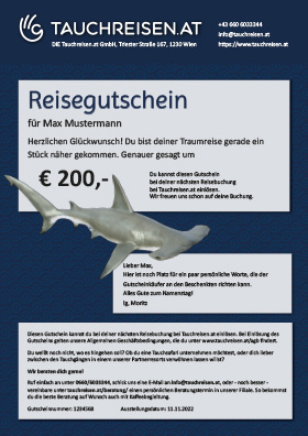 Gutschein Hammerhai Blau