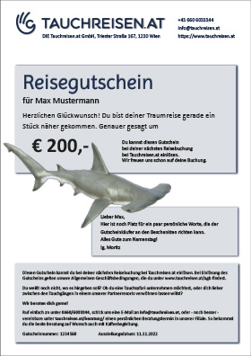 Gutschein Hammerhai Weiß