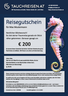 Gutschein Seepferdchen Blau