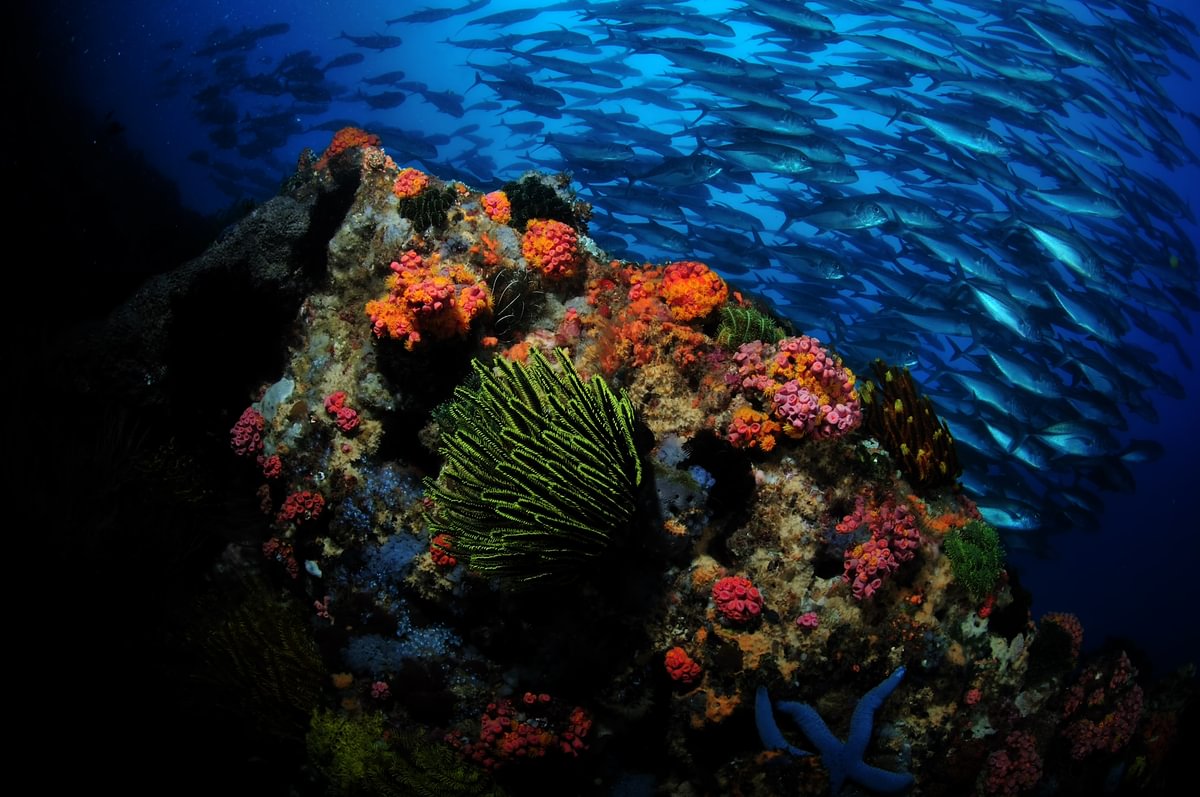 Philippines - Visayas - Aaron Wong