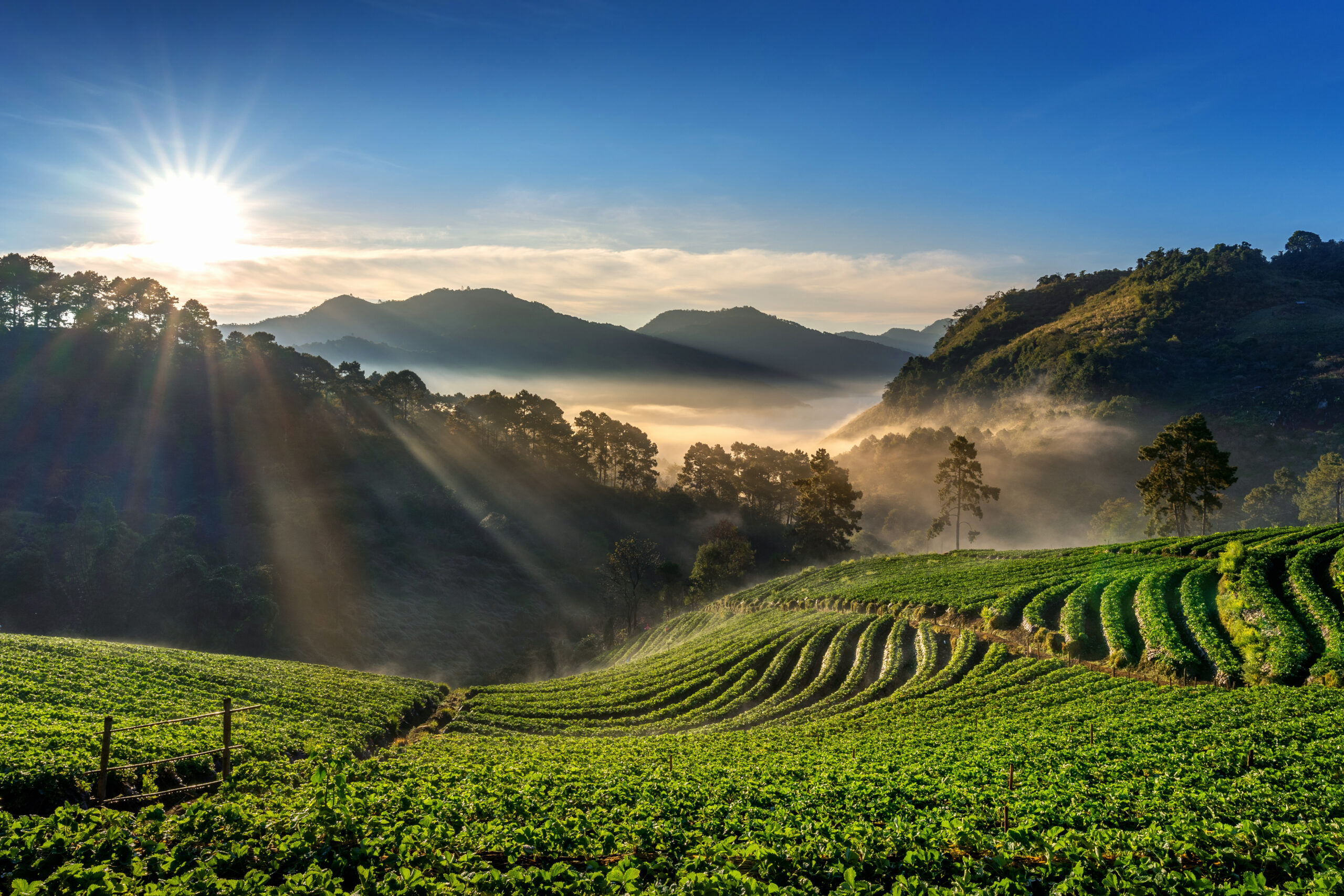 Thailand