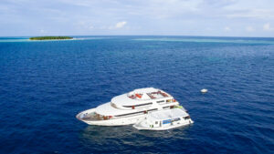 Vita_and_Dhoni-Aerial_Port Carpe Vita